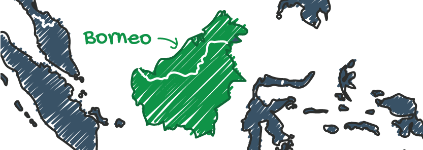 About Borneo About Borneo