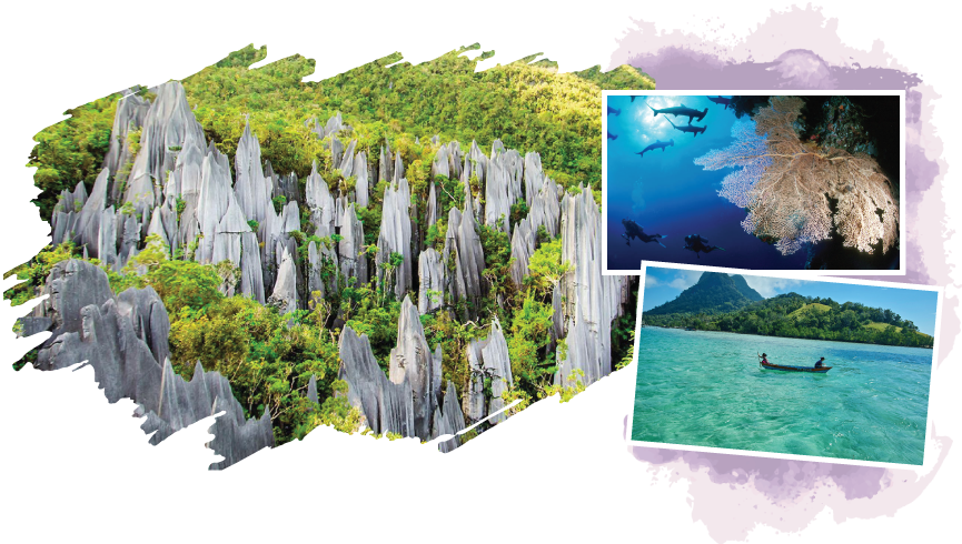About Borneo Travel Network About Borneo Travel Network