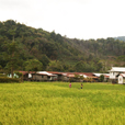 4D3N Bario Highlands Adventure 4D3N Bario Highlands Adventure