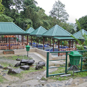 Kinabalu Park + Poring with Desa Farm Kinabalu Park + Poring with Desa Farm