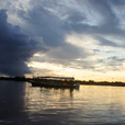 Weston Proboscis Monkey, Sunset & Fireflies Cruise Weston Proboscis Monkey, Sunset & Fireflies Cruise