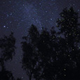 Borneo Cultural Village + Mangrove Cruise & Fireflies Borneo Cultural Village + Mangrove Cruise & Fireflies