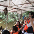 Borneo Cultural Village + Mangrove Cruise & Fireflies Borneo Cultural Village + Mangrove Cruise & Fireflies