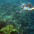 3D2N Kota Kinabalu + Island Excursion 3D2N Kota Kinabalu + Island Excursion