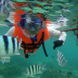 3D2N Kota Kinabalu + Island Excursion 3D2N Kota Kinabalu + Island Excursion