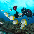 6D5N Layang Layang Island 6D5N Layang Layang Island