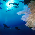6D5N Layang Layang Island 6D5N Layang Layang Island