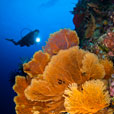 6D5N Layang Layang Island 6D5N Layang Layang Island