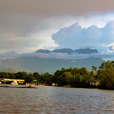 Kawa Kawa Mangrove And Fireflies Cruise Kawa Kawa Mangrove And Fireflies Cruise
