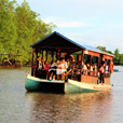 Kawa Kawa Mangrove And Fireflies Cruise Kawa Kawa Mangrove And Fireflies Cruise