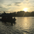 Kawa Kawa Mangrove And Fireflies Cruise Kawa Kawa Mangrove And Fireflies Cruise