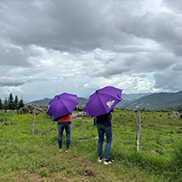 4D3N Kota Kinabalu + Kinabalu Park Heritage + Cultural Village + Mangroves Cruise & Fireflies ( 1 Night stay at Kundasang ) 4D3N Kota Kinabalu + Kinabalu Park Heritage + Cultural Village + Mangroves Cruise & Fireflies ( 1 Night stay at Kundasang )