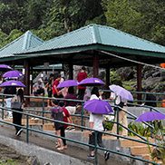 4D3N Kota Kinabalu + Kinabalu Park Heritage + Cultural Village + Mangroves Cruise & Fireflies ( 1 Night stay at Kundasang ) 4D3N Kota Kinabalu + Kinabalu Park Heritage + Cultural Village + Mangroves Cruise & Fireflies ( 1 Night stay at Kundasang )