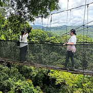 4D3N Kota Kinabalu + Kinabalu Park Heritage + Cultural Village + Mangroves Cruise & Fireflies ( 1 Night stay at Kundasang ) 4D3N Kota Kinabalu + Kinabalu Park Heritage + Cultural Village + Mangroves Cruise & Fireflies ( 1 Night stay at Kundasang )