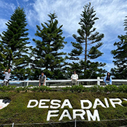 4D3N Kota Kinabalu + Kinabalu Park Heritage + Cultural Village + Mangroves Cruise & Fireflies ( 1 Night stay at Kundasang ) 4D3N Kota Kinabalu + Kinabalu Park Heritage + Cultural Village + Mangroves Cruise & Fireflies ( 1 Night stay at Kundasang )
