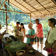 4D3N Kota Kinabalu + Kinabalu Park Heritage + Cultural Village + Mangroves Cruise & Fireflies ( 1 Night stay at Kundasang ) 4D3N Kota Kinabalu + Kinabalu Park Heritage + Cultural Village + Mangroves Cruise & Fireflies ( 1 Night stay at Kundasang )