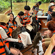 4D3N Kota Kinabalu + Kinabalu Park Heritage + Cultural Village + Mangroves Cruise & Fireflies ( 1 Night stay at Kundasang ) 4D3N Kota Kinabalu + Kinabalu Park Heritage + Cultural Village + Mangroves Cruise & Fireflies ( 1 Night stay at Kundasang )