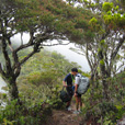5D4N Summit Of Borneo + Island Excursion 5D4N Summit Of Borneo + Island Excursion