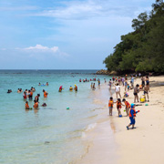 Twin Island (Sapi Island + Manukan Island) + Mangrove Cruise & Fireflies Twin Island (Sapi Island + Manukan Island) + Mangrove Cruise & Fireflies