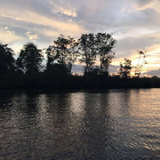 Twin Island (Sapi Island + Manukan Island) + Mangrove Cruise & Fireflies Twin Island (Sapi Island + Manukan Island) + Mangrove Cruise & Fireflies