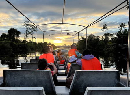Twin Island (Sapi Island + Manukan Island) + Mangrove Cruise & Fireflies