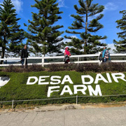 Ranau Paragliding & Desa Farm Ranau Paragliding & Desa Farm