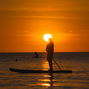 Stand Up Paddle Board ( Sunset ) Stand Up Paddle Board ( Sunset )