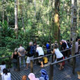 Semenggoh Orang Utan Nature Reserve Semenggoh Orang Utan Nature Reserve
