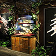 Jong Crocodile Farm & Mini Zoo Jong Crocodile Farm & Mini Zoo