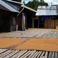 Annah Rais Bidayuh Longhouse Annah Rais Bidayuh Longhouse