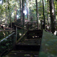 Gunung Gading National Park Gunung Gading National Park