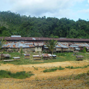 2D1N Traditional Iban Longhouse Safari 2D1N Traditional Iban Longhouse Safari