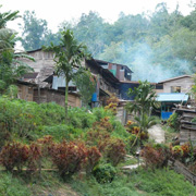 2D1N Traditional Iban Longhouse Safari 2D1N Traditional Iban Longhouse Safari