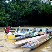2D1N Traditional Iban Longhouse Safari 2D1N Traditional Iban Longhouse Safari