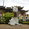 3D2N Kuching Free & Easy 3D2N Kuching Free & Easy