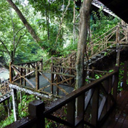 3D2N Tabin Wildlife Safari 3D2N Tabin Wildlife Safari
