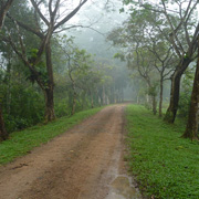 3D2N Tabin Wildlife Safari 3D2N Tabin Wildlife Safari
