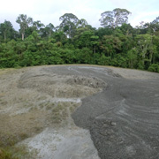 4D3N Overnight at Tabin Mud Volcano 4D3N Overnight at Tabin Mud Volcano