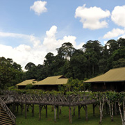 3D2N Danum Valley Rainforest Experience 3D2N Danum Valley Rainforest Experience