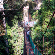 4D3N Danum Valley Rainforest Experience 4D3N Danum Valley Rainforest Experience