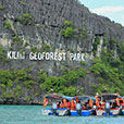 Mangrove & Cave Exploration Mangrove & Cave Exploration