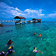 Payar Island Snorkeling – Platform Package Payar Island Snorkeling – Platform Package