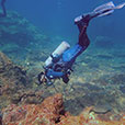 Payar Island Fun Dive - For Cert Diver Payar Island Fun Dive - For Cert Diver