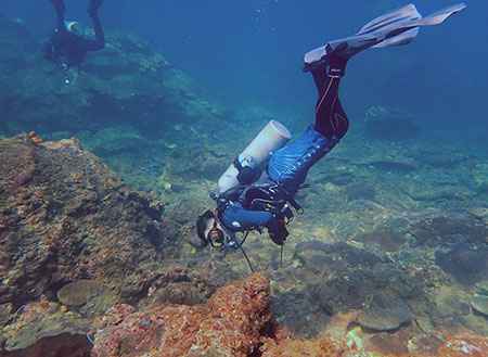 Payar Island Fun Dive - For Cert Diver