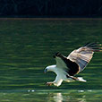 3D2N Langkawi Island & Sea Tour 3D2N Langkawi Island & Sea Tour