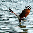 4D3N Langkawi Explorer 4D3N Langkawi Explorer