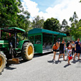 2D1N Borneo Tropical Rainforest Resort Tours 2D1N Borneo Tropical Rainforest Resort Tours