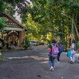 2D1N Borneo Tropical Rainforest Resort Tours 2D1N Borneo Tropical Rainforest Resort Tours