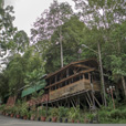 2D1N Borneo Tropical Rainforest Resort Tours 2D1N Borneo Tropical Rainforest Resort Tours