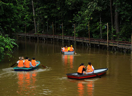 2D1N Borneo Tropical Rainforest Resort Tours